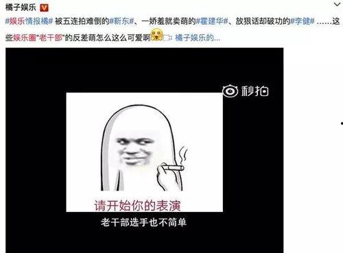 娱乐圈爆料专用语言  第3张